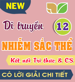 Di truyền Nhiễm sắc thể (KNTT)